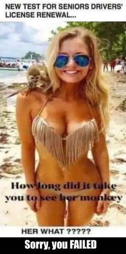 0070eb1a259e020556792e130e21c76f923feb5d_2_249x500.