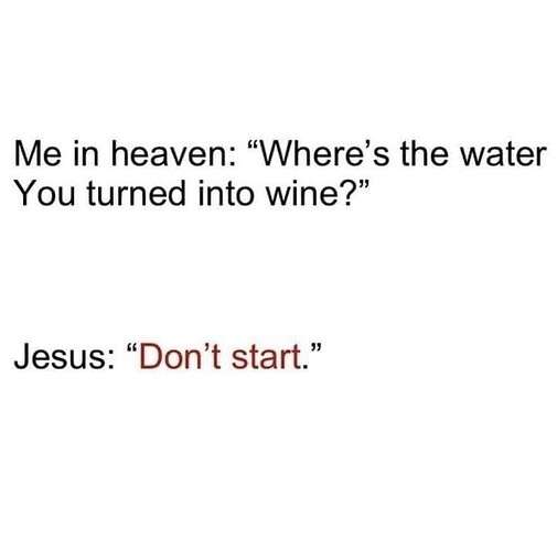 008ea520dbd2c957e2ba4f5cf9e7b52d182e2768_2_505x500.