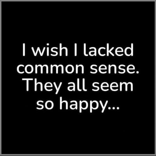 018d1fc48137f8cfb096c3c1513be824d7fc303b_2_498x500.