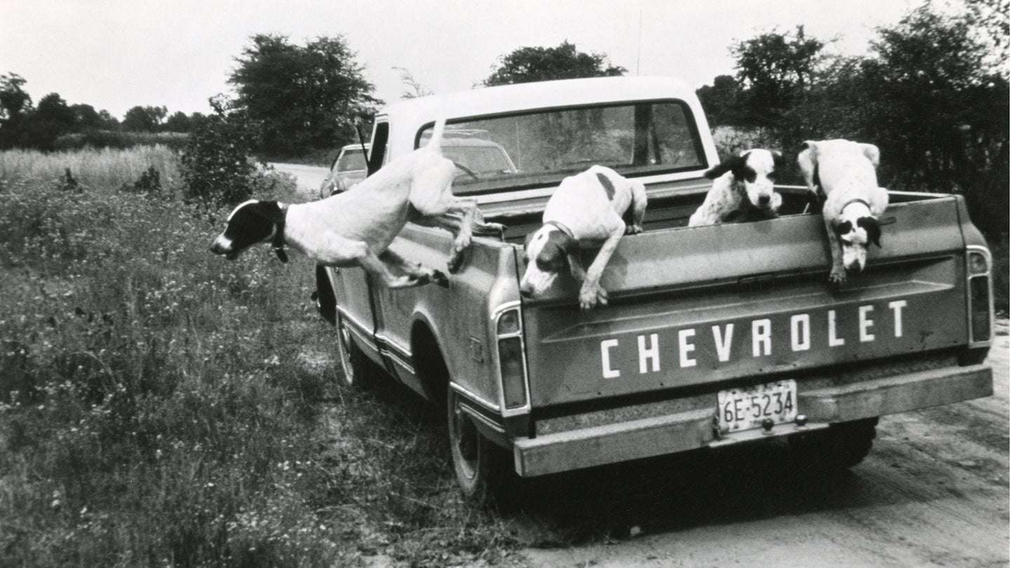 01_dogs_leaping_truck_crop.
