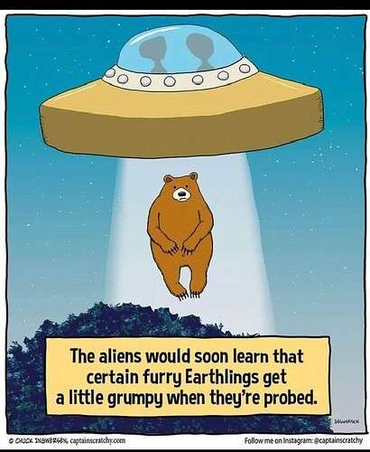 0368f5b5f26c2a95d4dcad492e766cd6d7fd631d_2_410x500.