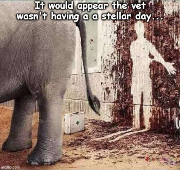 0379f7a2acc4bd41b37a554ba6df24f13291cfda.