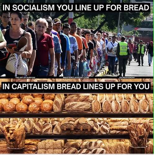 05356c458a4b30fa2d0459fb0d6ce5bf5dcdf1c4_2_497x500.