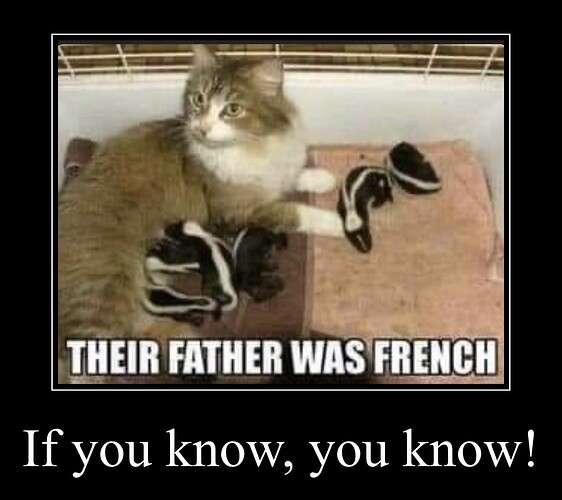 05d2b104e83efbd0e6d2fd7d5b62c78de8e9b73f_2_562x500.