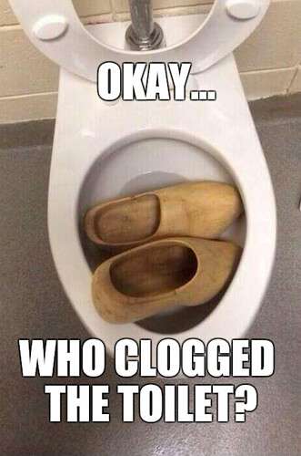 0709f16791ea084d6cf37b5aabc17236484721ce_2_331x500.