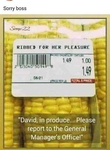 09e6d047ce3aeb7daea3de4bff4b366689c84d21_2_369x500.