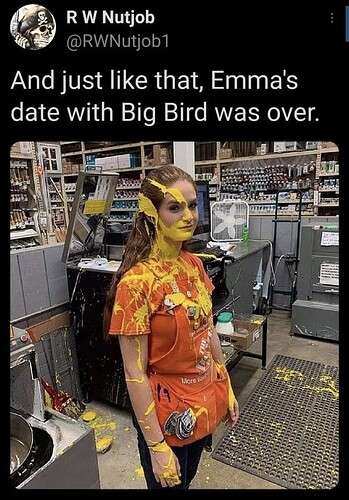 0e56db3fb06cccb349b89e98f60389b4ada46886_2_349x500.