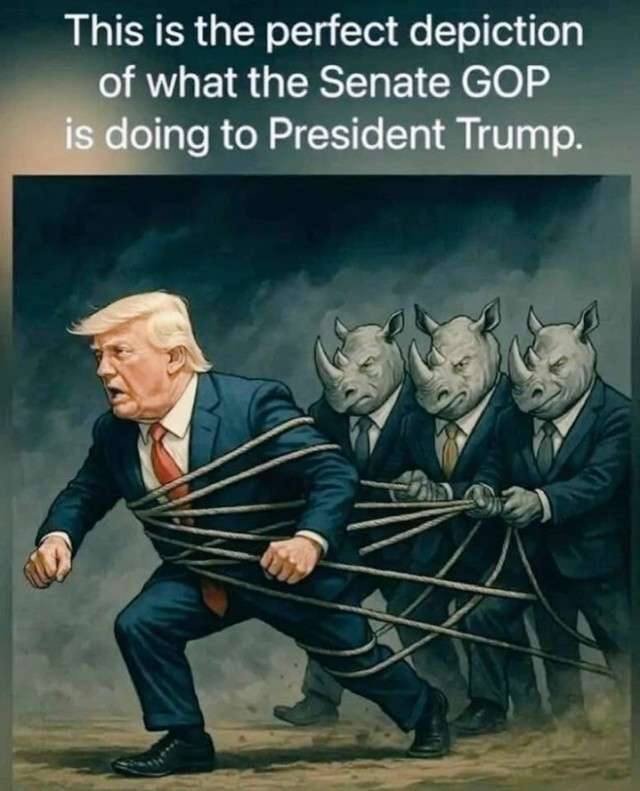 1 1 90milesdc0b0c97960c194d794238fb6d4cbe39_61f93e52_640.