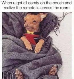 1 (10) (1).JPG