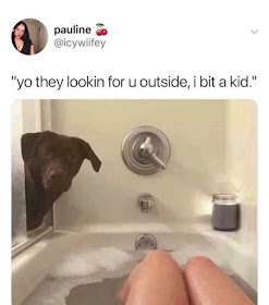 1 (17).JPG.