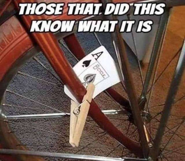 1 (88) (1).