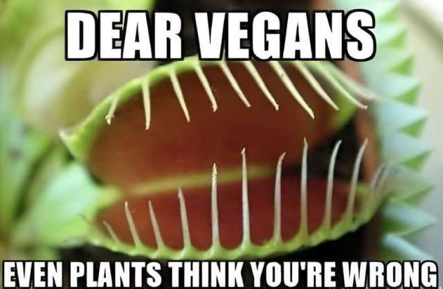 1 90miles60e95e78b26b5bca8143ef826d5cbf84_1ccbc2e9_640.