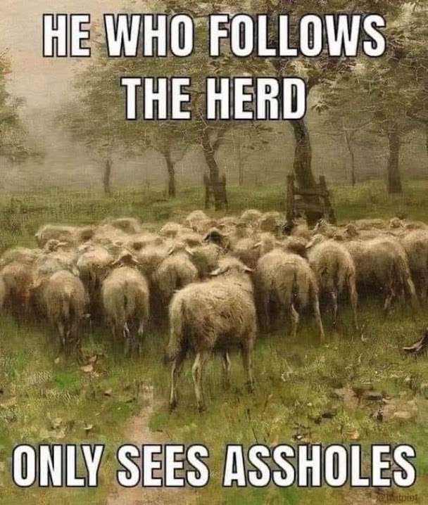 1 90milesdcef27b63db63945783d6a8590f5bbdd_97c26d5f_640.