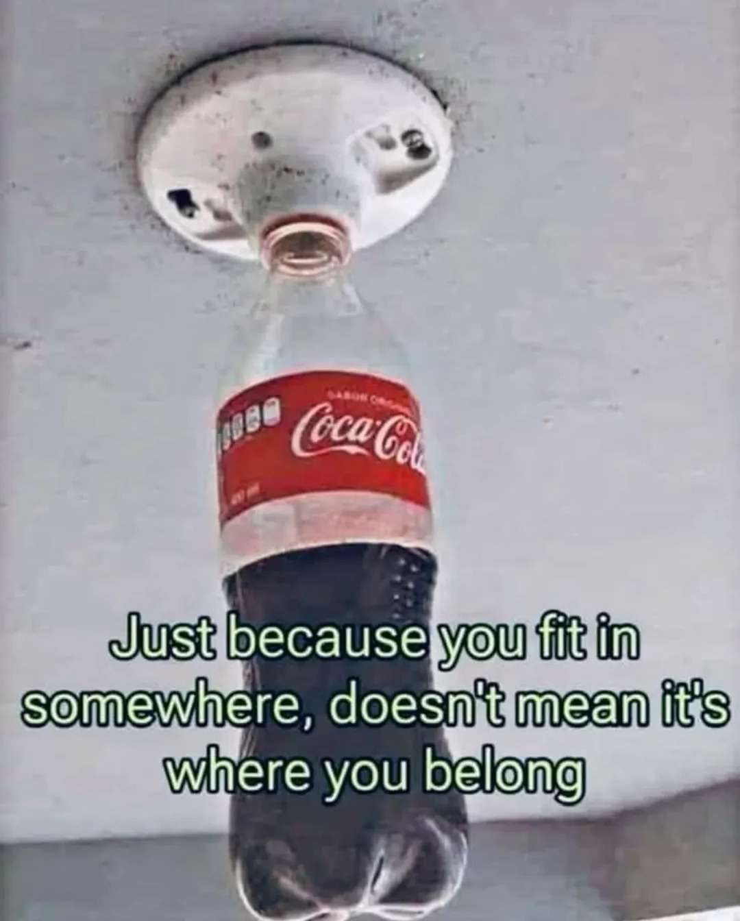 1000192206.