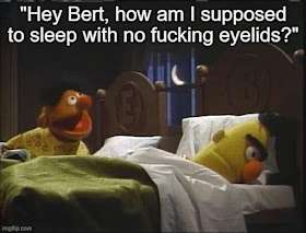 1000198172.