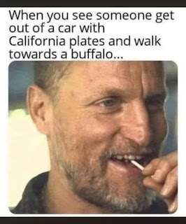 1000198412.