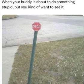 1000199745.