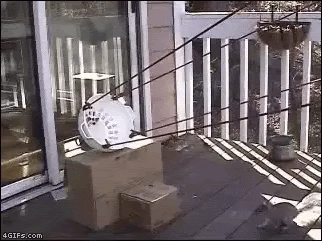 1000202302.