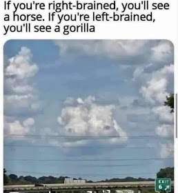 1000203928.
