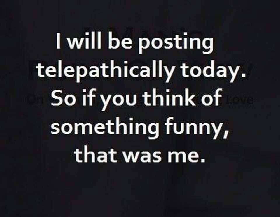 1000204294.