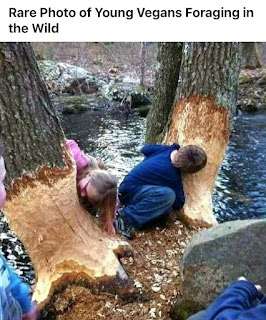 1000210039.