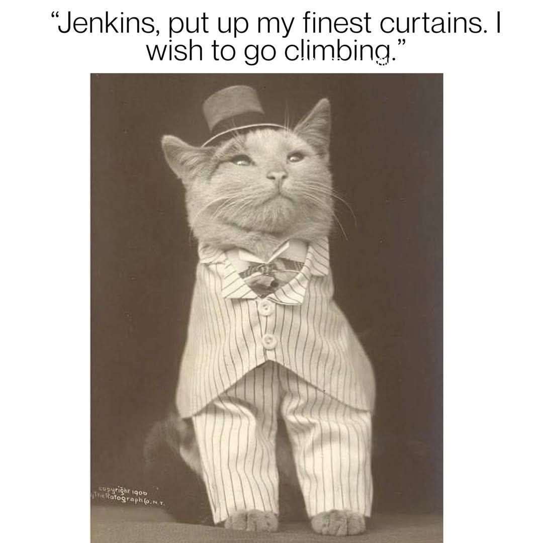 1000212213.