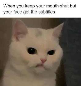 1000213362.