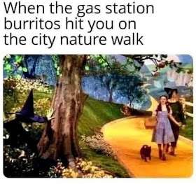 1000213380.