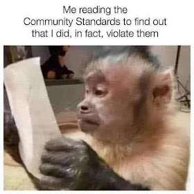 1000216259.