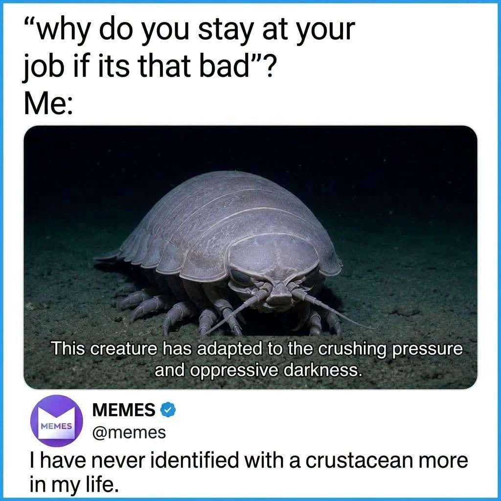 1000219069.