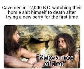 1000221220.