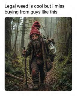 1000260697.