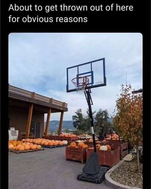 1000269015.