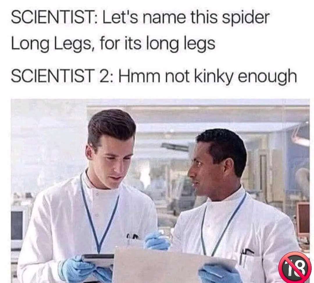 1000269554.