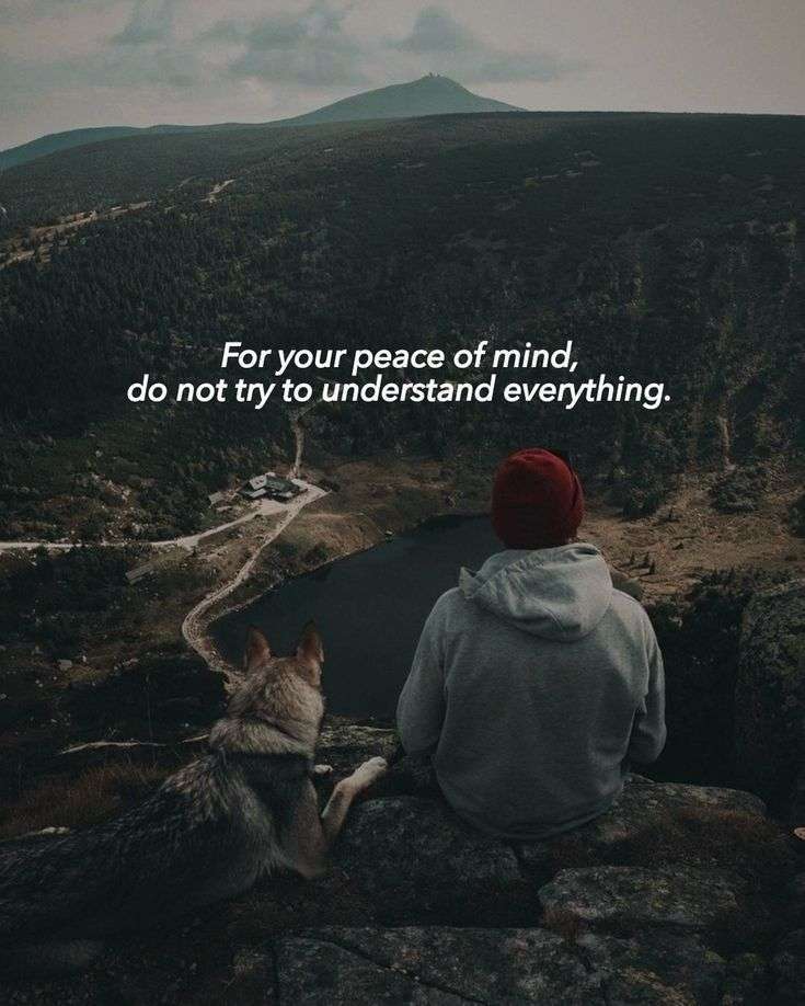 1000270094.