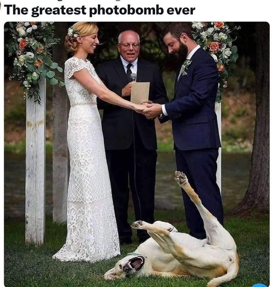 1000270400.