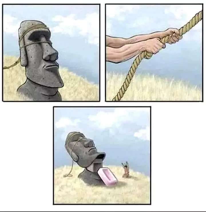 1000271580.