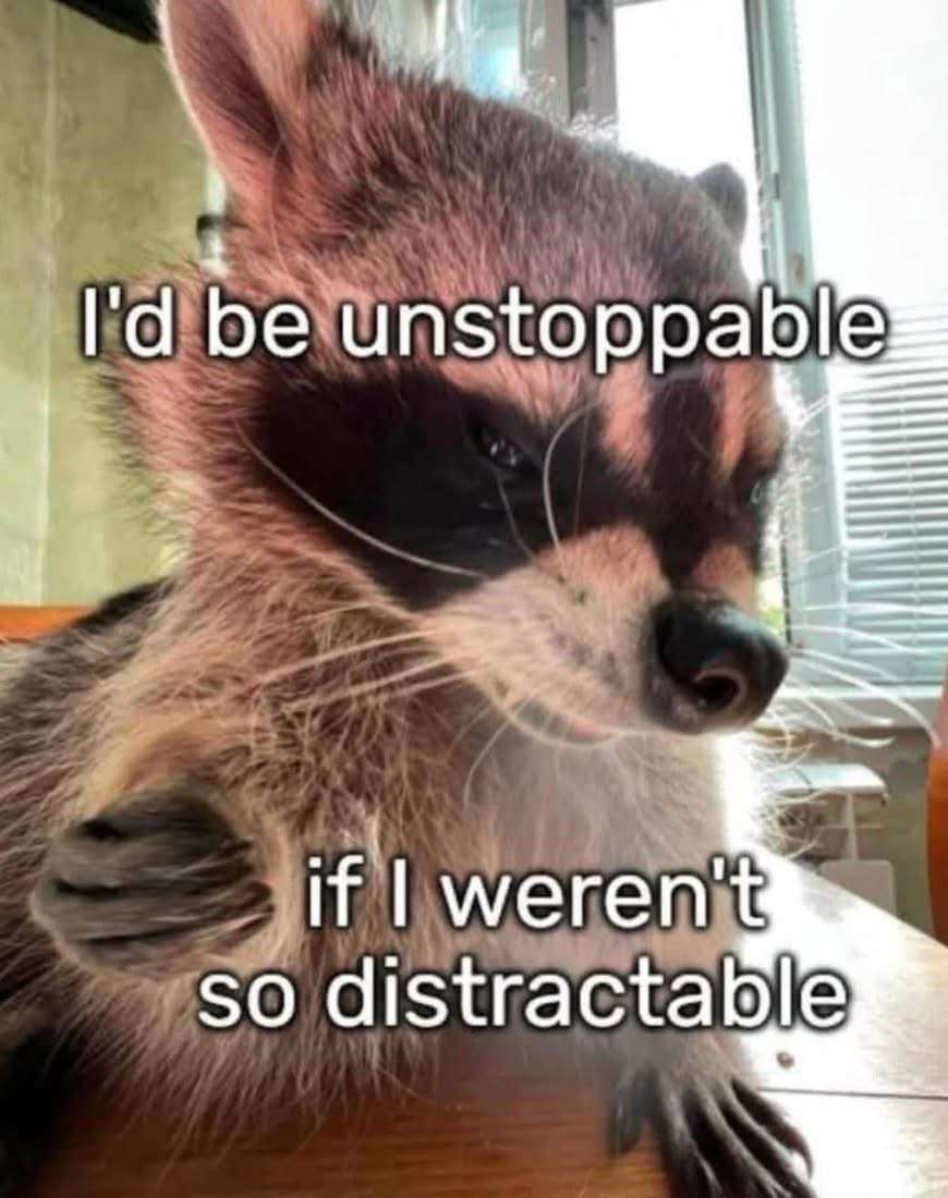 1000271586.