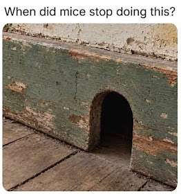 1000271845.
