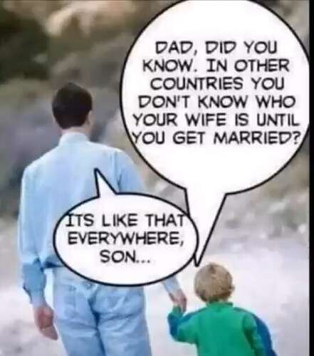 1257a9ee42fdb9ad87d2ba3358cb2b22fa904219_2_441x500.