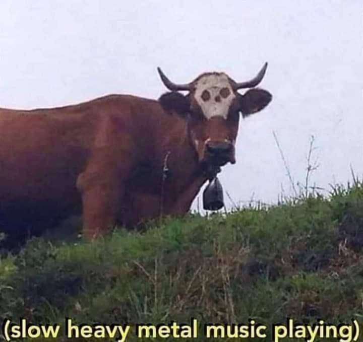 1704908306823501_jpg-3089081.