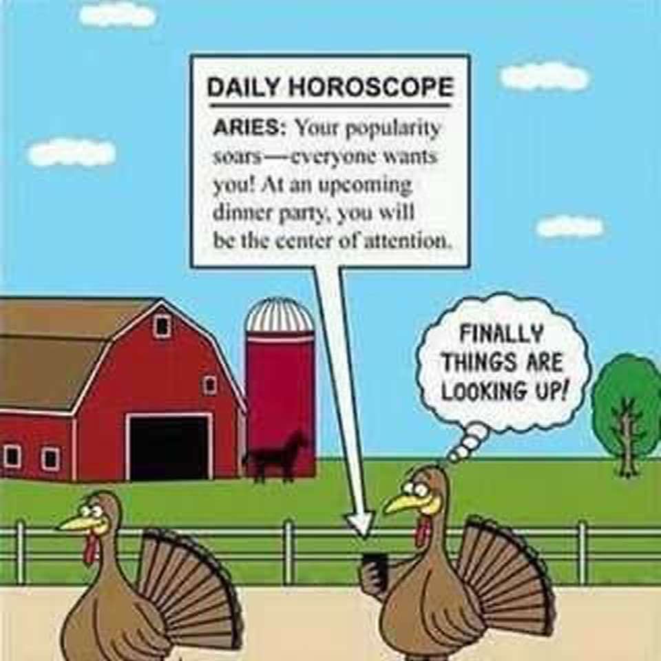 18B8B391-1E46-40BB-A545-7F8183731537.