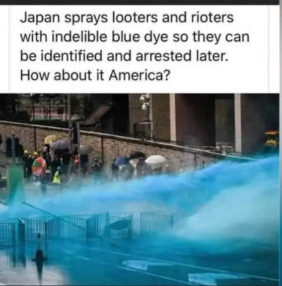 1926336725c4c85c.