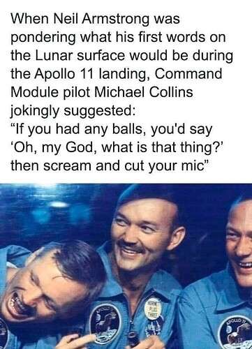 1a8f43eef9827ea58de8a9763477c237bc0b8b34_2_361x500.