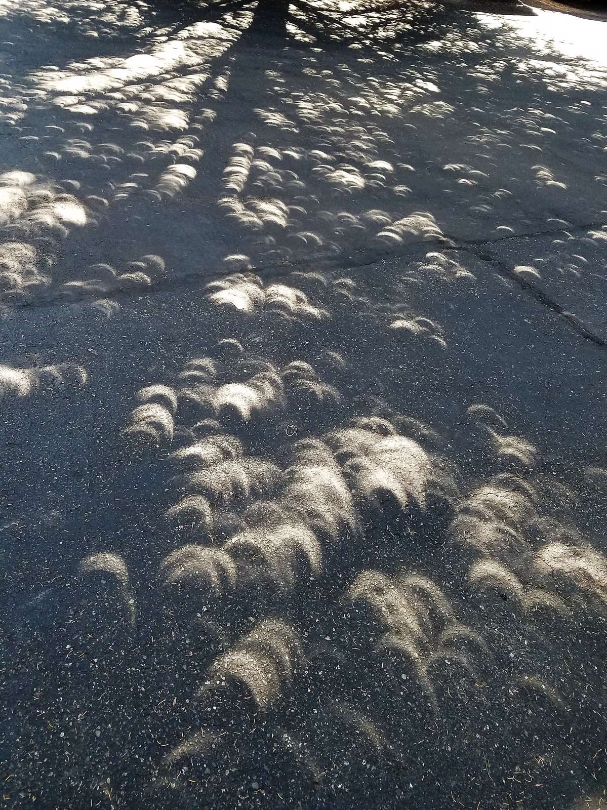 2017 Eclipse.