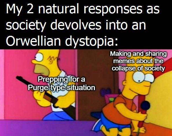 20231111_061054_jpg-3028847.