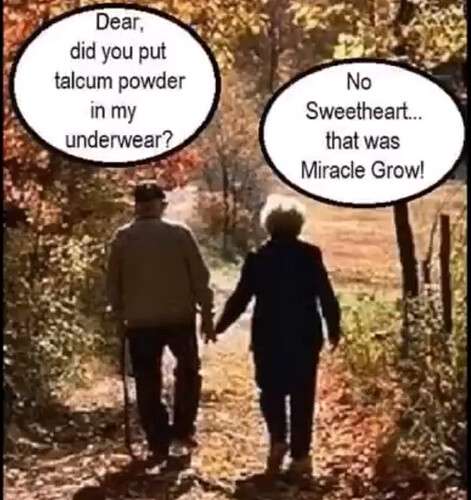 2026270134847909993328035e9434a3826f5d3d_2_471x500.