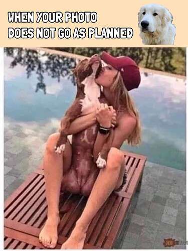 20e62a21d1dcd32a4f6d15482993d81daa95cf84_2_375x500.