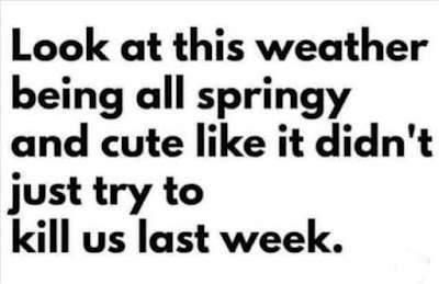 220915674_5283368701686051_2330721915644994745_n.