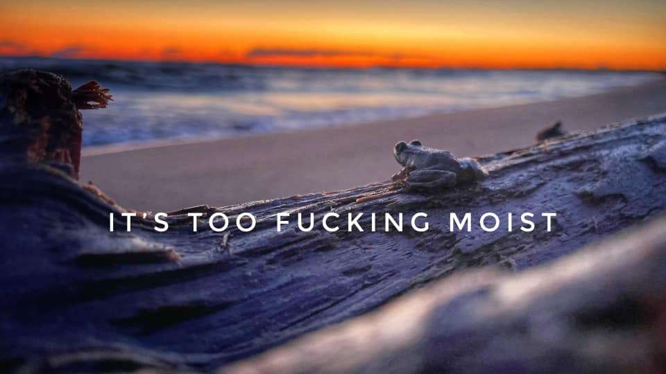 240710753_10223013651344141_7655601969105441679_n.